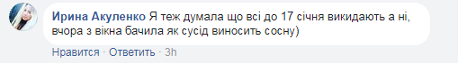 "Зелена справа": у Києві похвалилися утилізацією гори ялинок (фото)